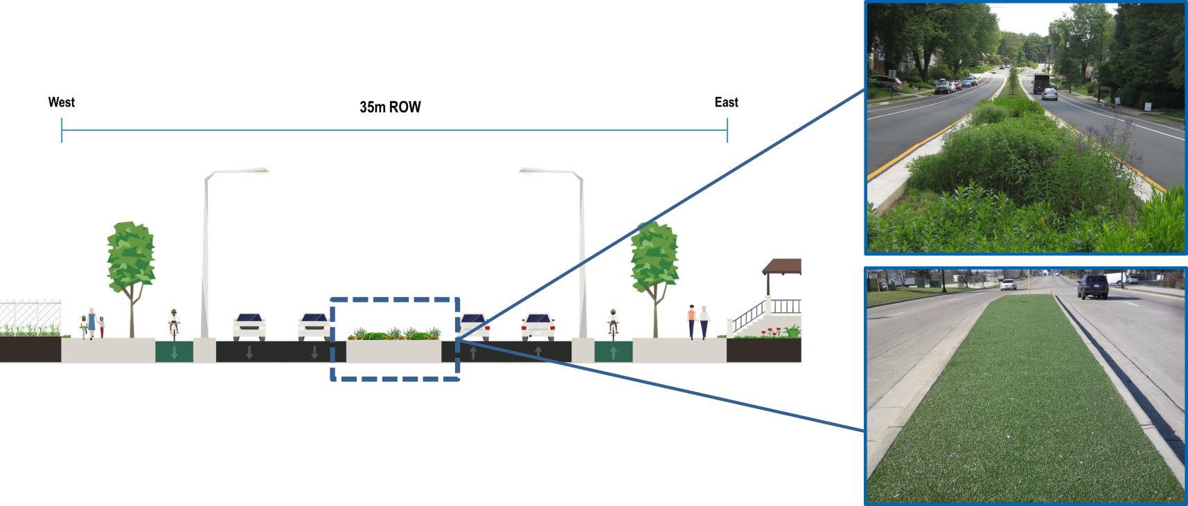 Overview of the median planting design